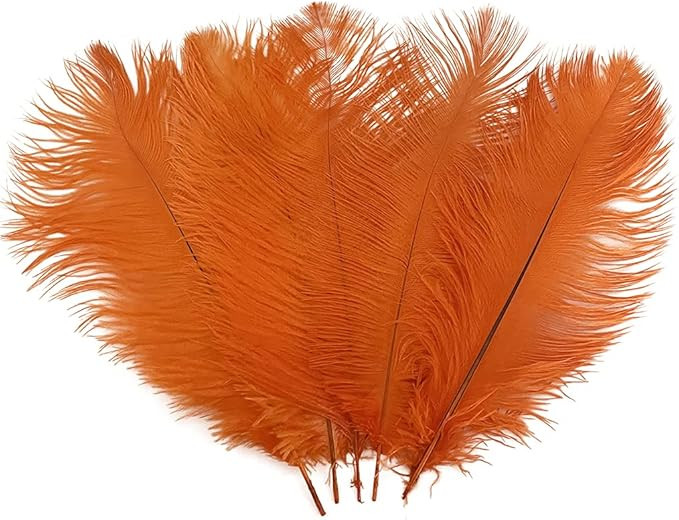 LONDGEN 10PCS Ostrich Feather 12-14 inch(30-35cm) Plumes for Party Wedding Centerpiece Festival V... | Amazon (US)