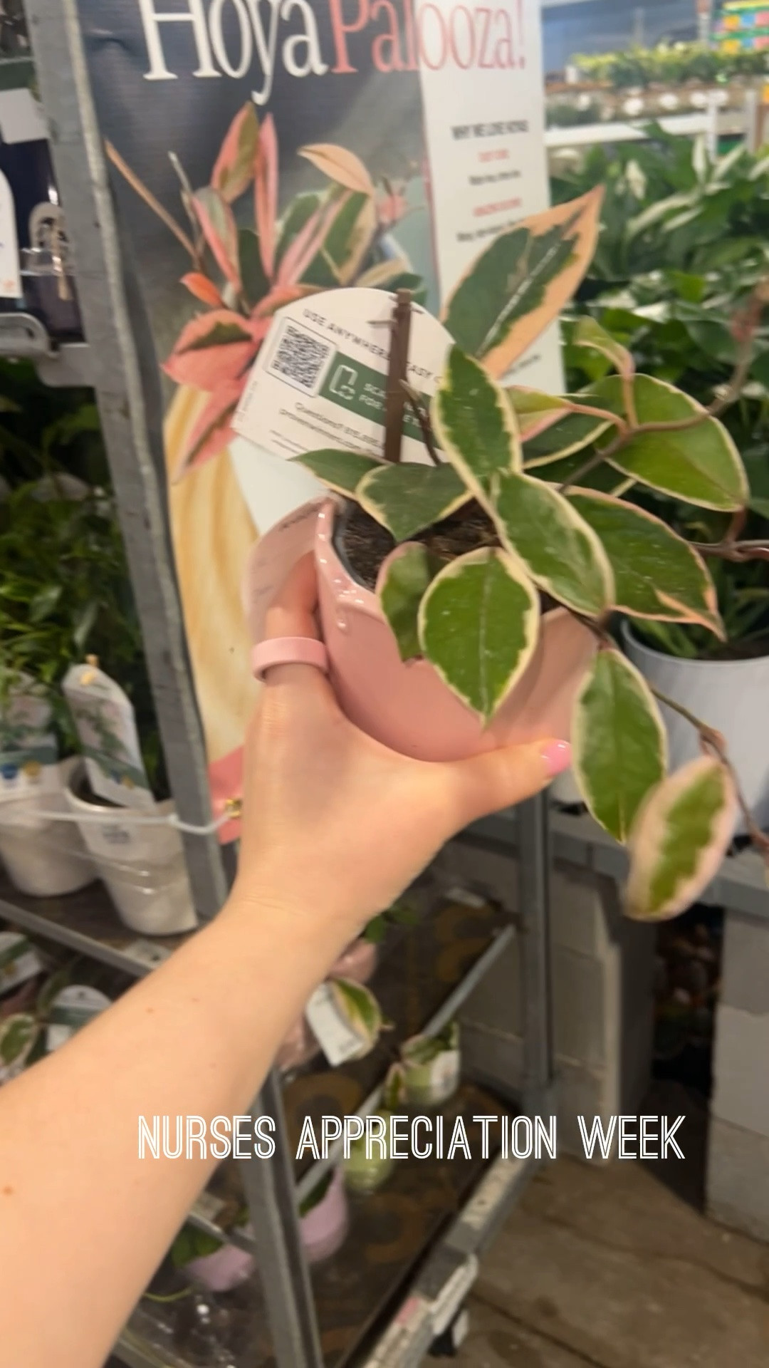 Nurses appreciation week.
A small 4 inch plant.

#LTKMothersDay #LTKdayinmylife #LTKstorytime