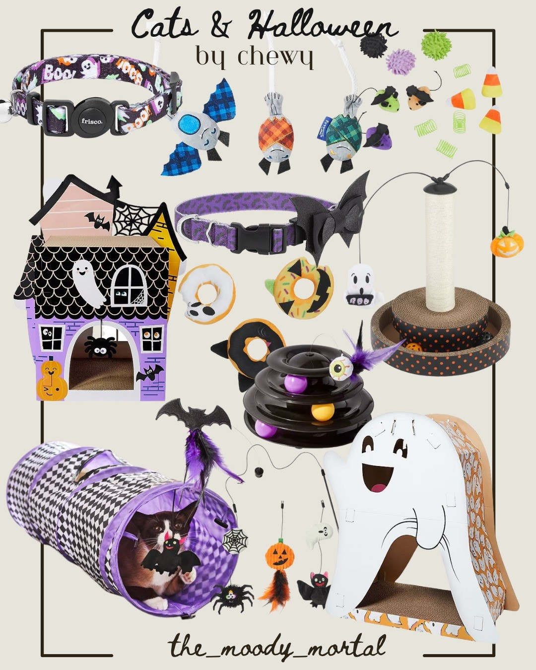 •• ...I couldn't leave the cats out... •• #halloween #cats #pets

#LTKSeasonal #LTKPets