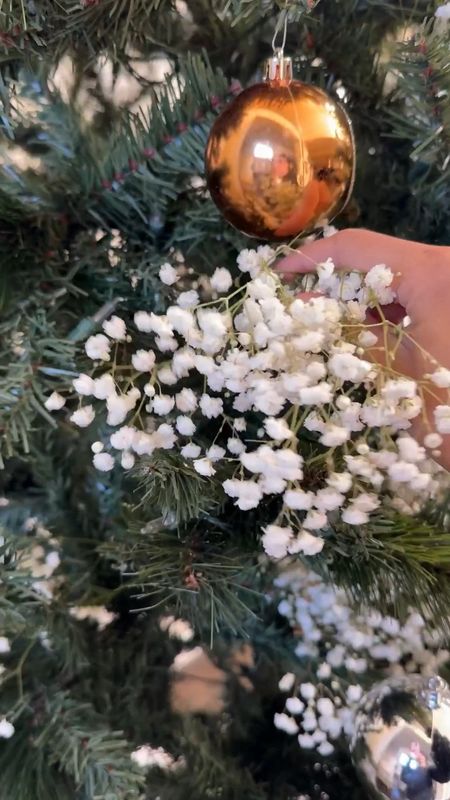 Decorated my Christmas tree with some fresh baby's breath this year and now I'm wondering how long they'll last without water🤔 but I do love how it turned out!🥰

I been looking for some of velvet ornaments but they've been sold out everywhere and I just found some on Amazon currently in stock! I always want to add some velvet ribbon.  I  linked some artificial baby's breath

#LTKHoliday #LTKSeasonal #LTKhome