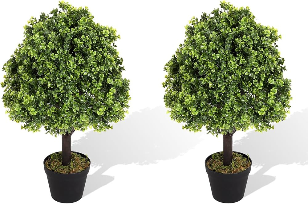 Visit the Azoco Store | Amazon (US)