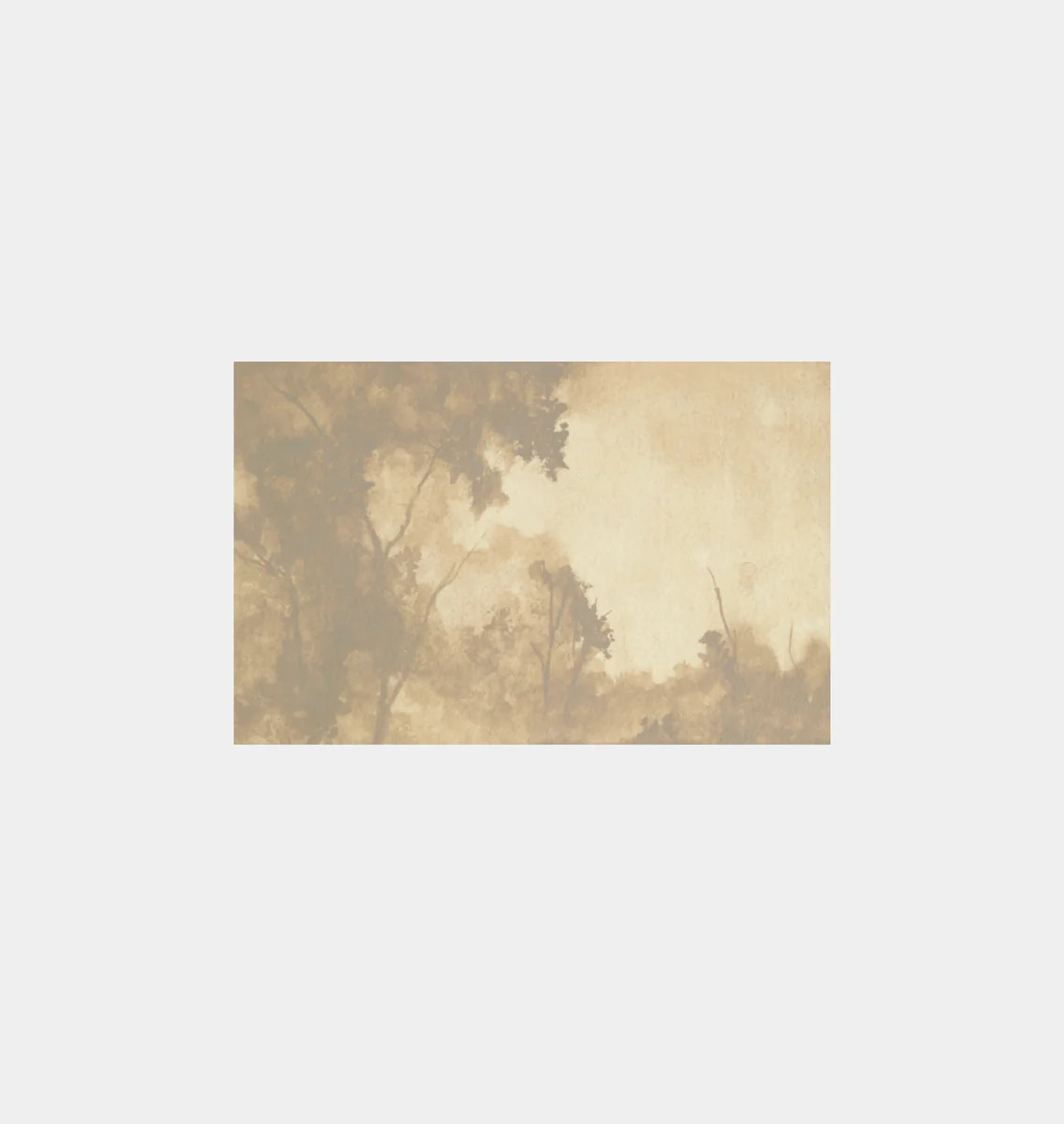 Restored XII | Amber Interiors