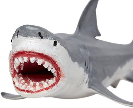 Safari Ltd Wild Safari Prehistoric World Collection - Hand Painted Megalodon 7.25" x 4.25" - Non-tox | Amazon (US)