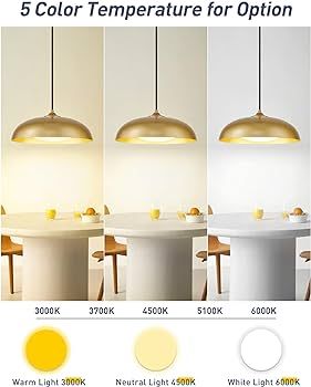 LED Pendant Light Fixtures, Modern Gold Pendant Light, 15 Inch Large Kitchen Pendant Light for Ki... | Amazon (US)