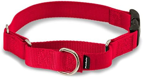 PetSafe Martingale Dog Collar with Quick Snap Buckle | Amazon (US)