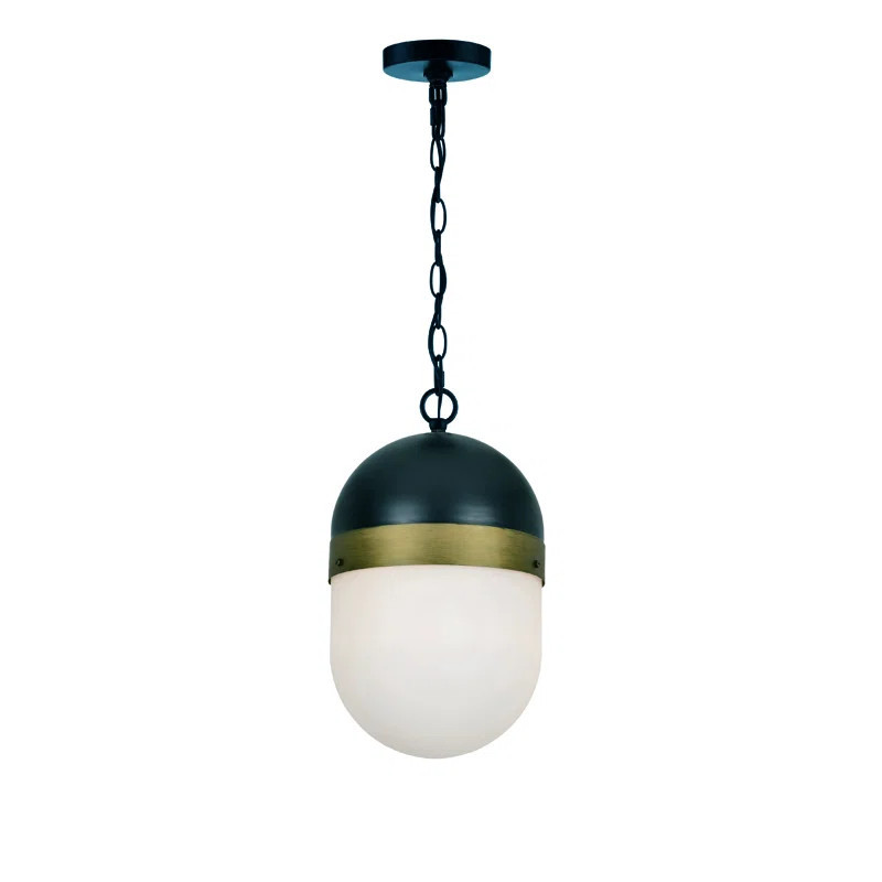 Marie Outdoor Pendant | Wayfair North America