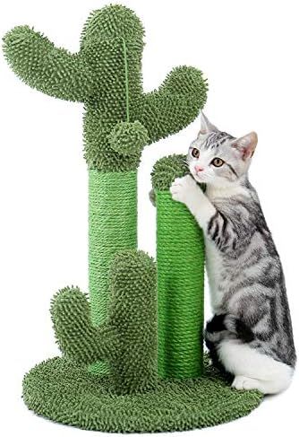 PAWZ Road Cat Scratching Post Cactus Cat Scratcher Featuring with 3 Scratching Poles and Dangling... | Amazon (US)