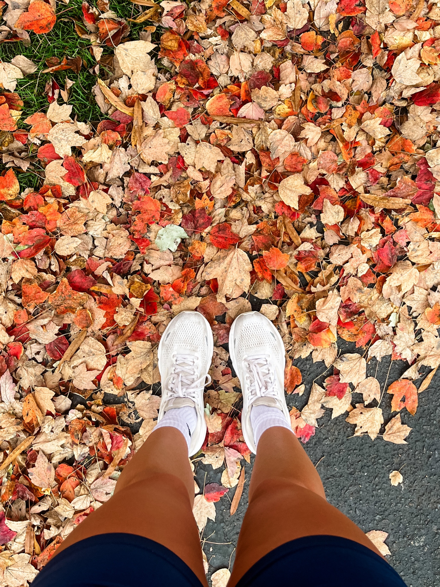 My go to running shoe! The Brooks Ghost 15 are the best shoes I’ve tried in a long time. They have the perfect balance of cushion + stability. 

#LTKfitness