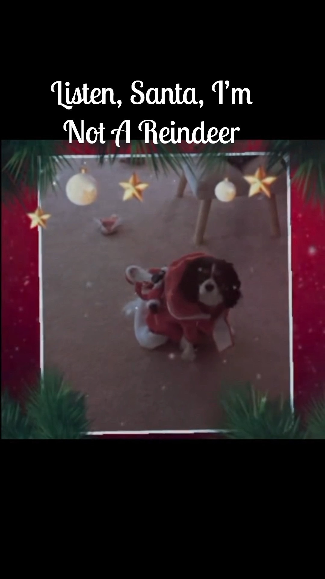 WTH 🤦, Were They Thinking? (It’s A little Big, But You get The point)

#christmaspup #fightingmothernature .#christmasfunny #sillypuppy #funnypuppy #doghumor #fypages#ltkpet

#LTKHoliday #LTKdayinmylife #LTKSeasonal