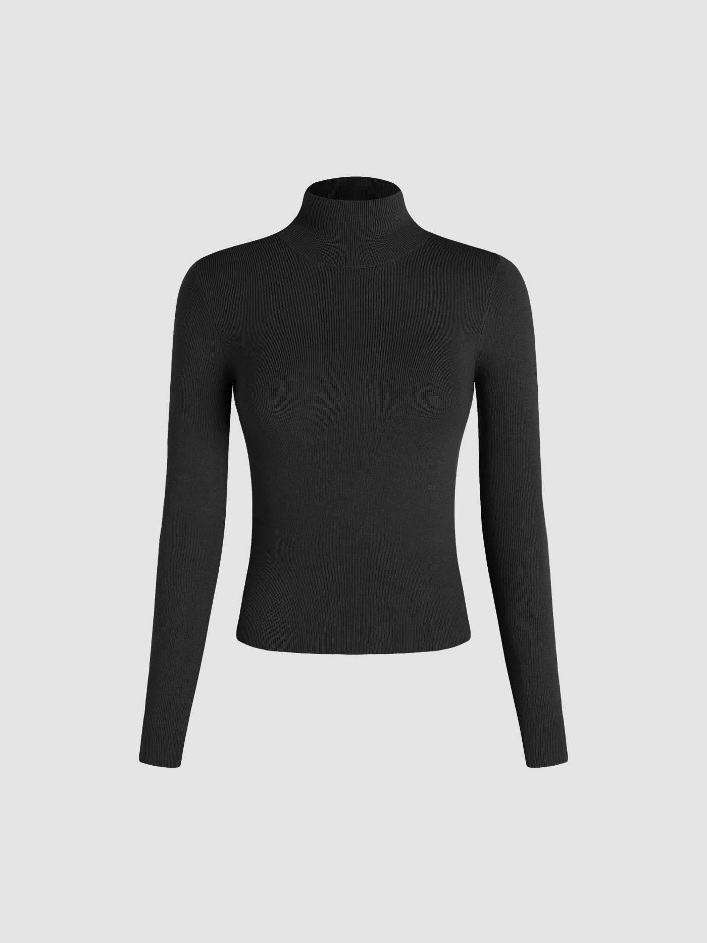 Solid High Neck Knitted Long Sleeve Top | Cider