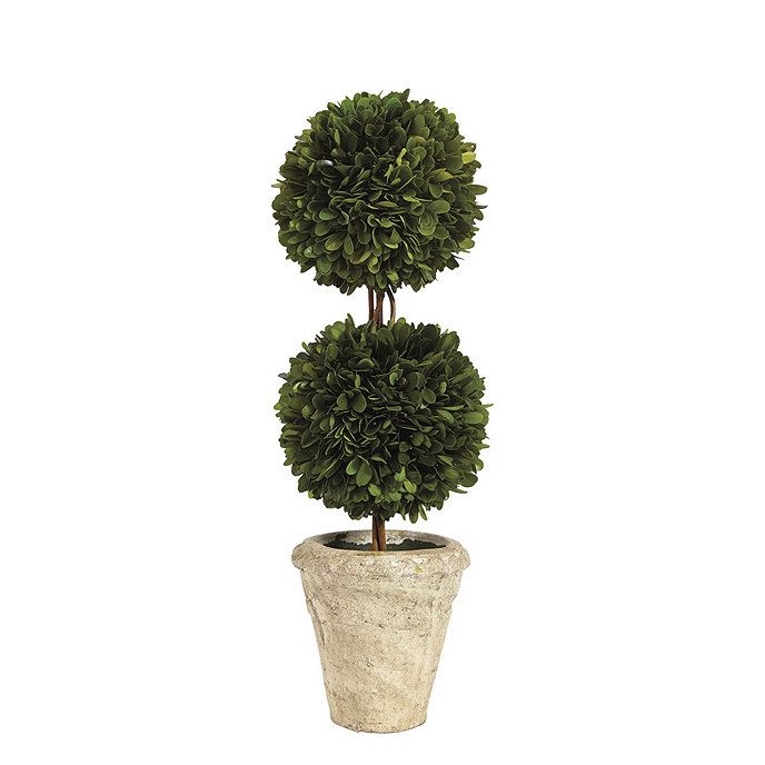 Preserved Boxwood Topiary Dried Potted Tree | Ballard Designs, Inc.