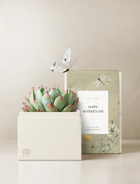 Mother's Day Bliss Garden | Lula's Garden