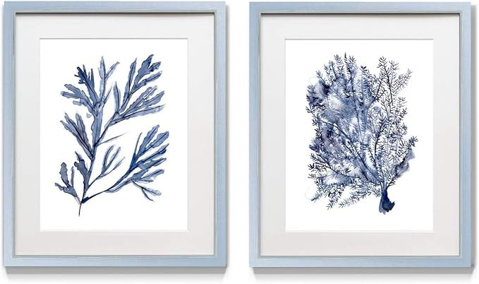 Renditions Gallery Seaweed (1) 2 Framed Artwork Set, Underwater Ocean Themed Pair, Tropical Indig... | Amazon (US)