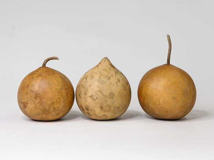 3 Dried Cannonball Gourds - 4" Diameter, Ready for Crafting and Decorating | Amazon (US)
