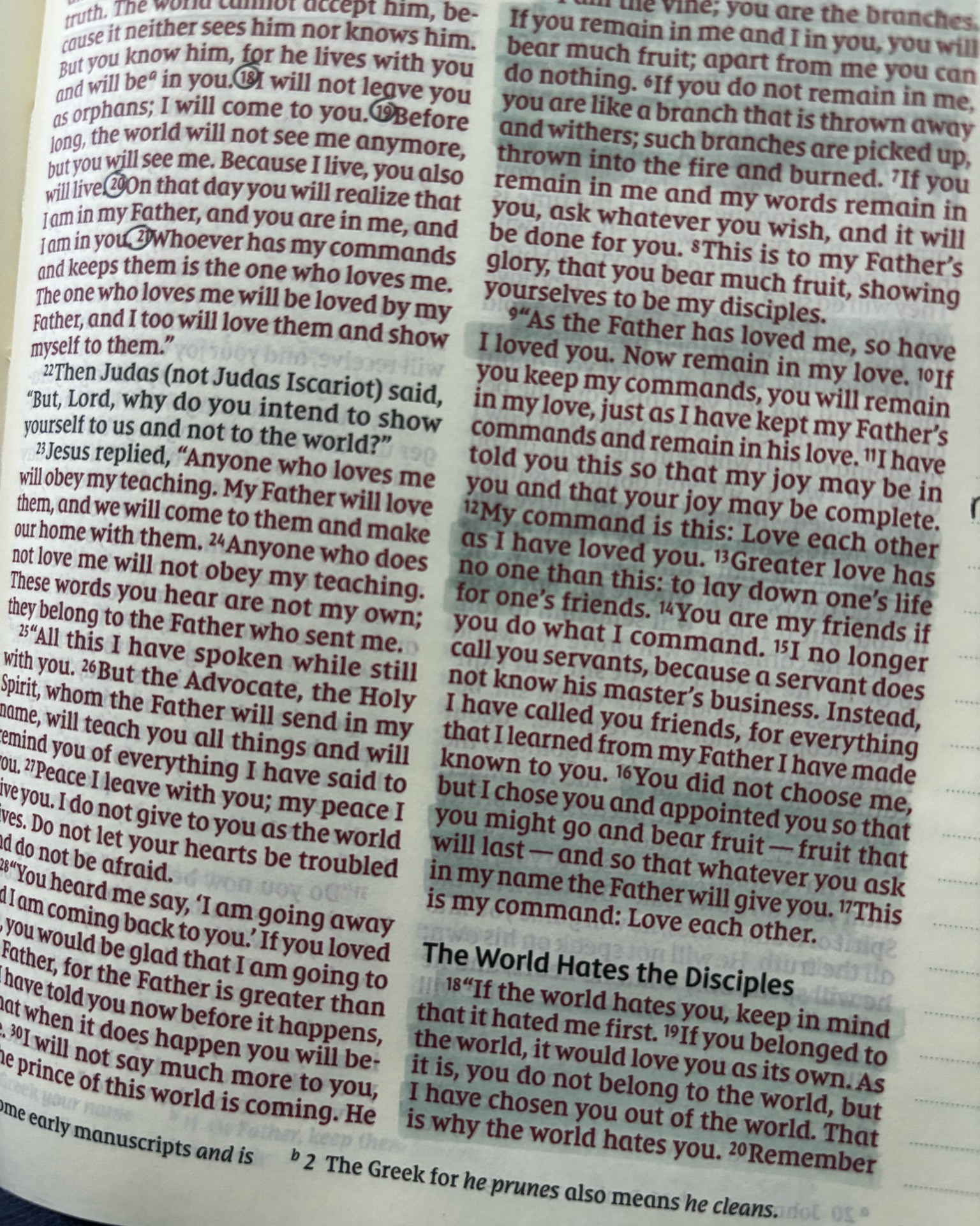 Sincerely believe every young mom should invest in the flourishing in motherhood study from @The Daily Grace Co. today’s quite time was so good