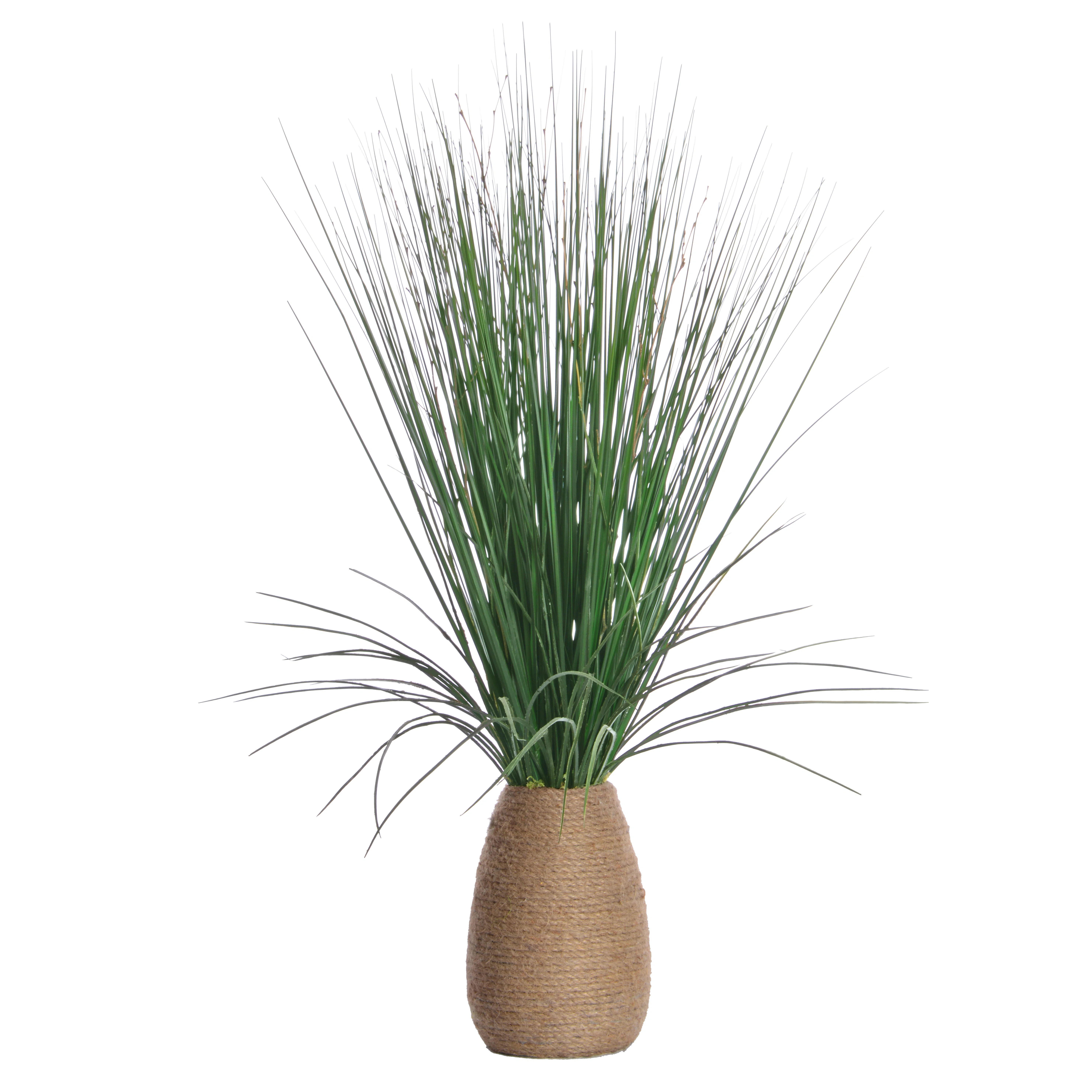 29" Tall Grass with Twigs in Tapered Hemp Rope Pot | Wayfair North America