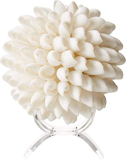 Real White Seashell Sphere with Lucite Stand | 3 Inches Wide | Beach House Shelf Decor by Tumbler... | Amazon (US)