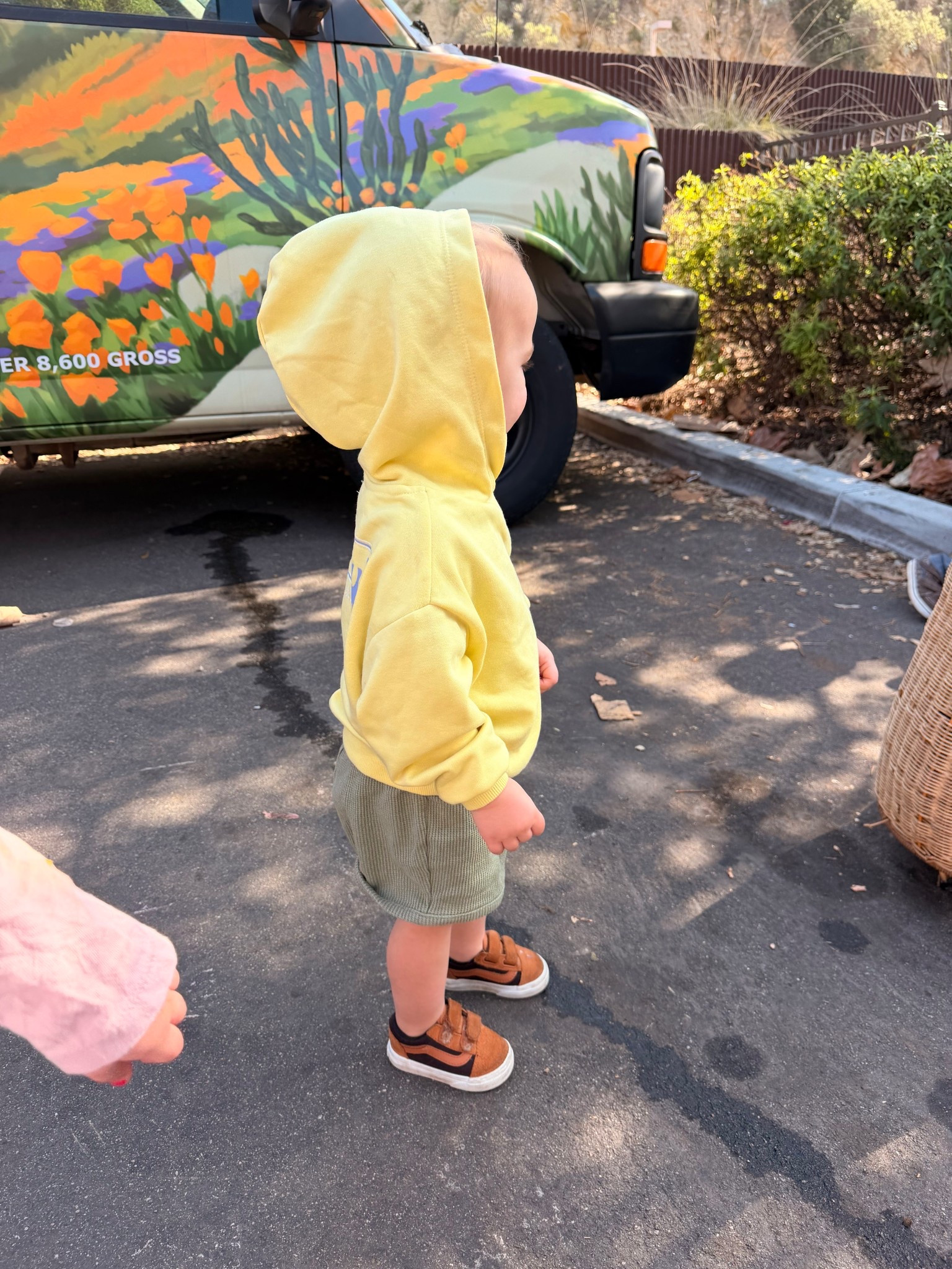 toddler boy outfit idea 

#targetstyle #vanskids