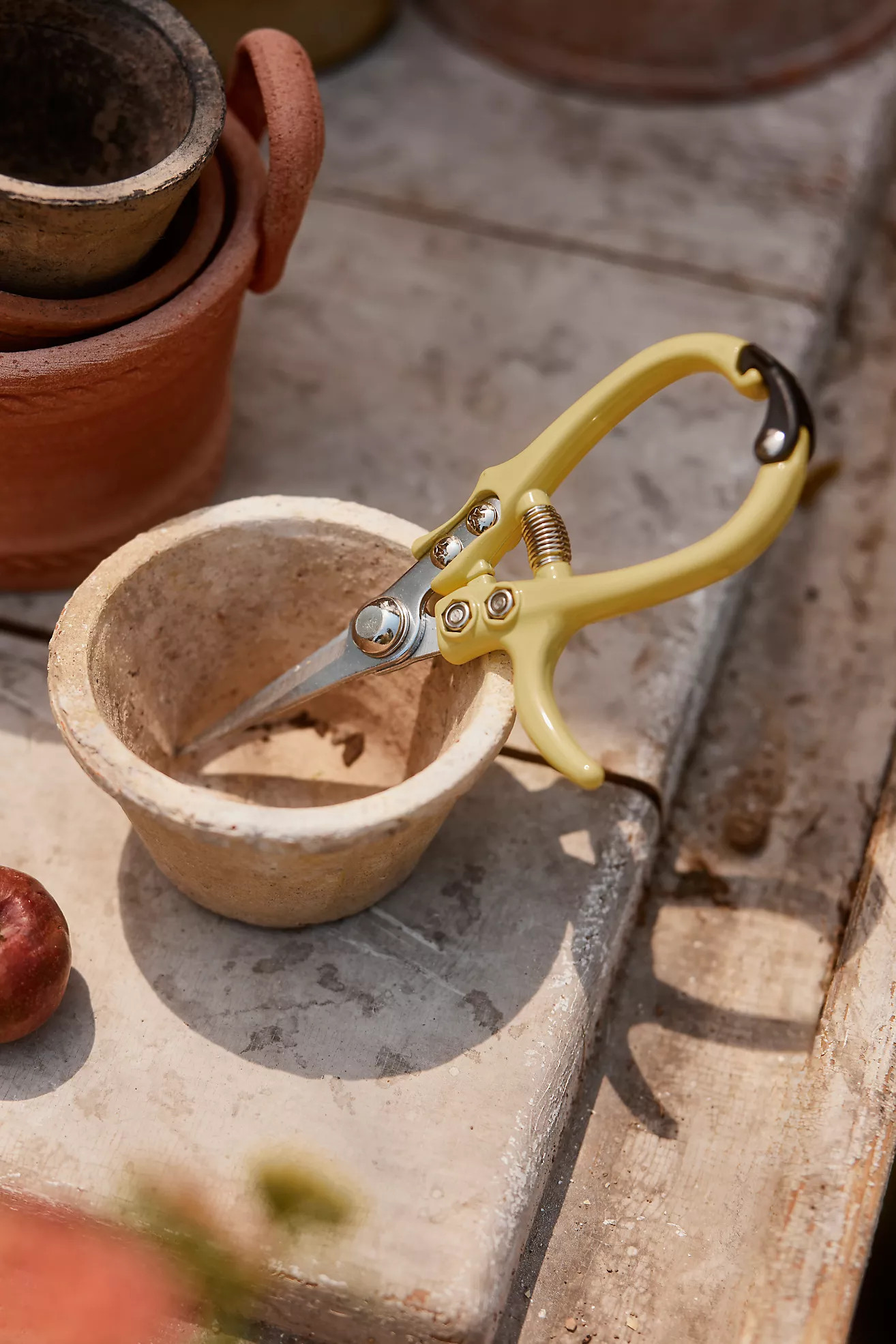 Pruner Snips | Terrain