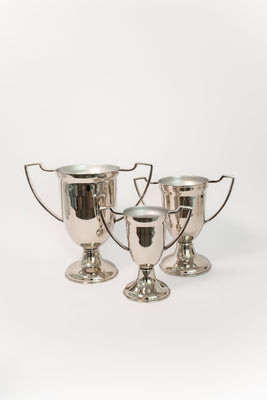 Silver Metal Trophies - 3 Sizes | THELIFESTYLEDCO