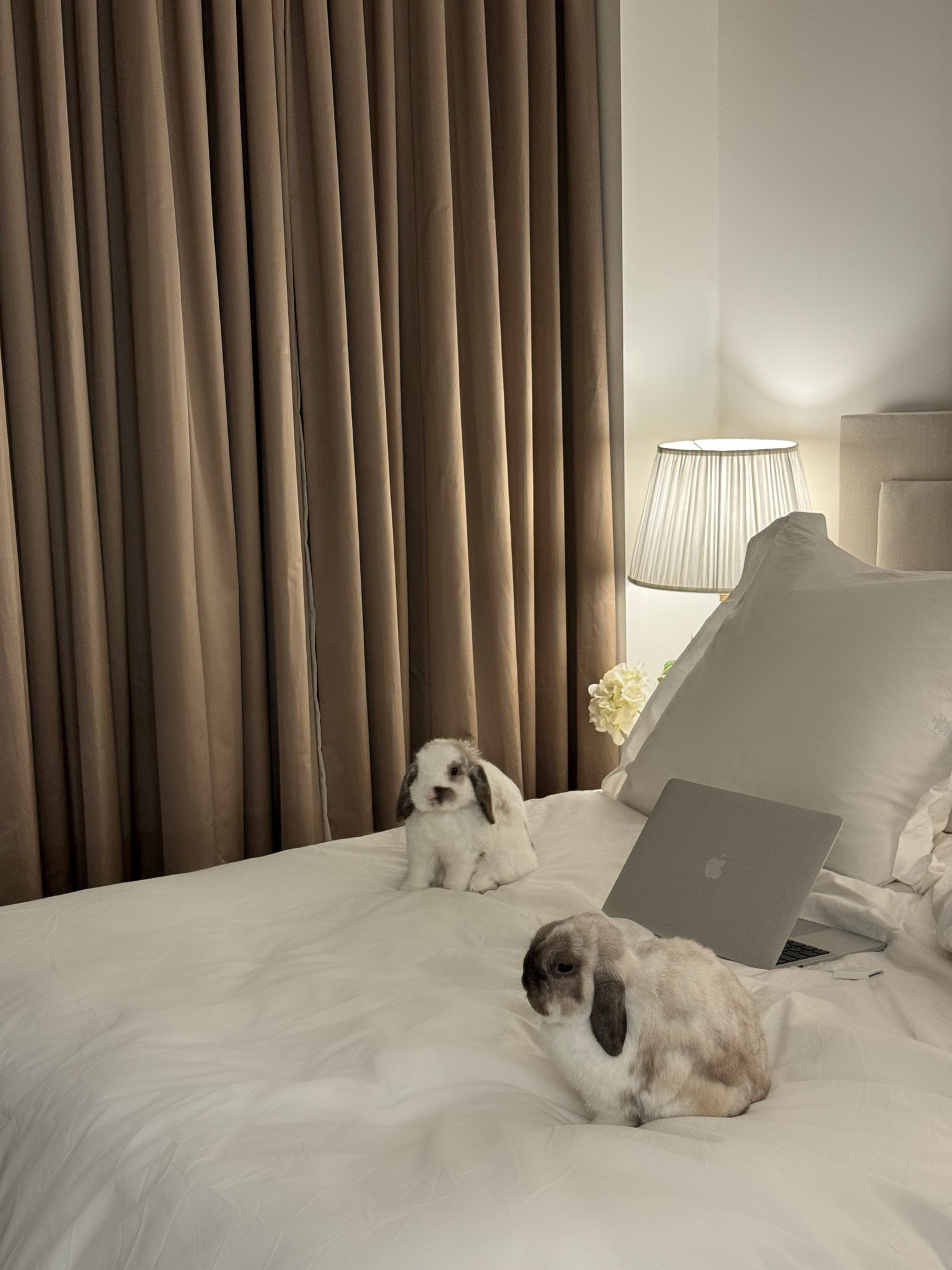 Home details 🤍#LTKSpringSale 

#LTKeurope #LTKhome