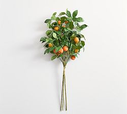 Faux Orange Branch Bundle | Pottery Barn (US)