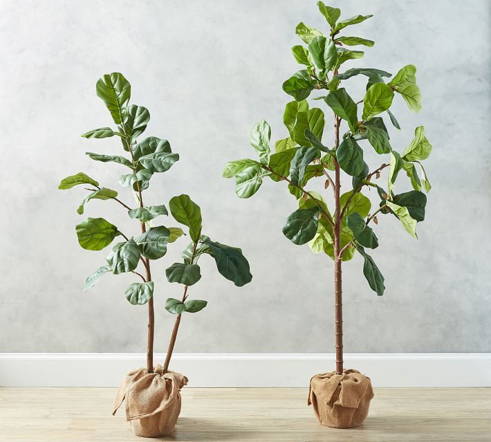 Faux Potted Fiddle Leaf Fig Trees | Pottery Barn (US)