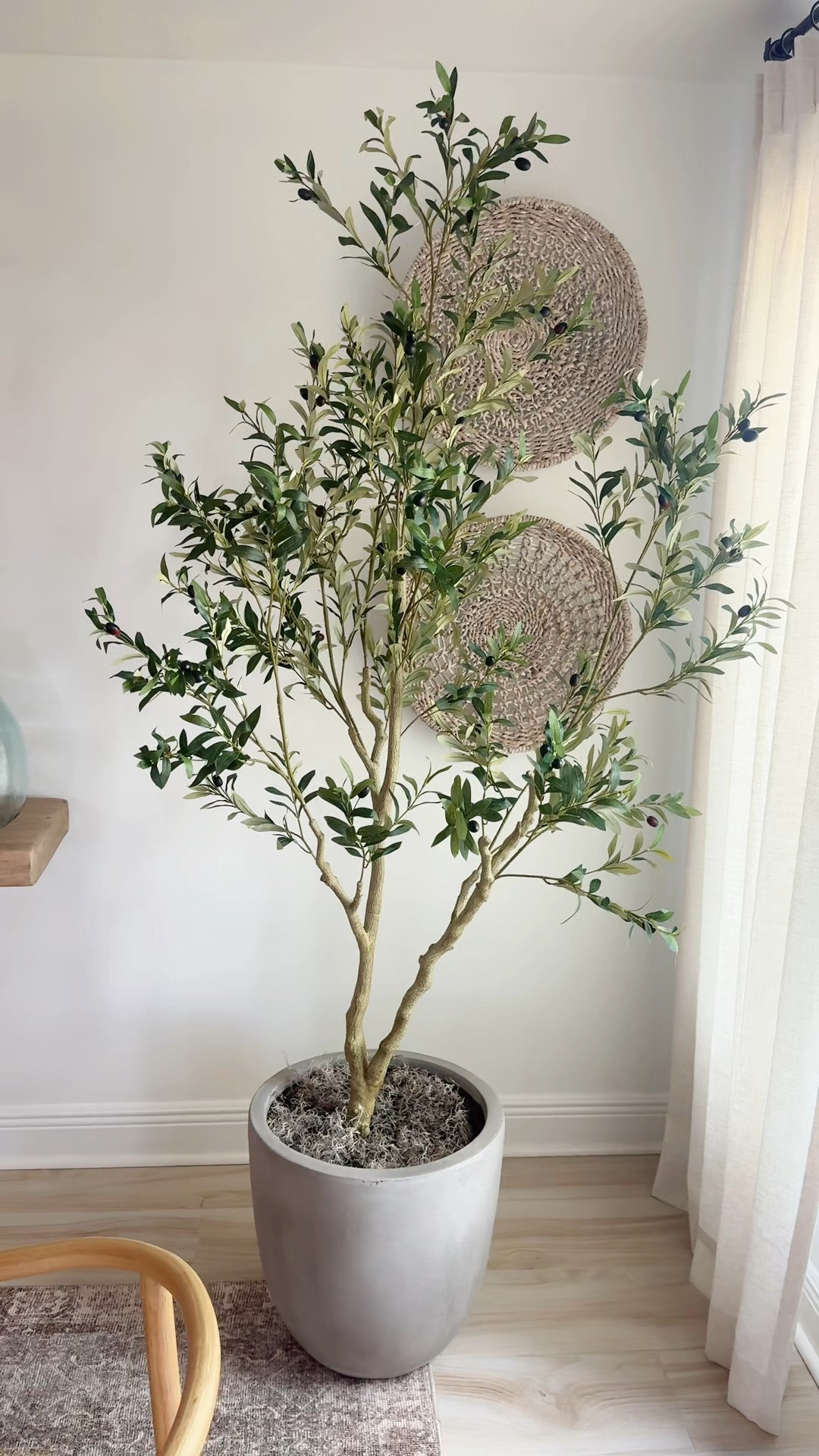 This faux olive tree looks too real! Comes in multiple sizes + styled with an earthy pot and Spanish moss for that natural, modern organic look.
 
Where to style it:
• Dining room corner nook
• Bedroom corner
• Living room empty space
 
faux olive tree, realistic artificial tree, olive tree decor, earthy home decor, modern organic home, neutral home styling 

#earthyhomedecor #neutralhomeinspo #modernorganicstyle #homestylingideas

#LTKHome #LTKOver40 #LTKSaleAlert