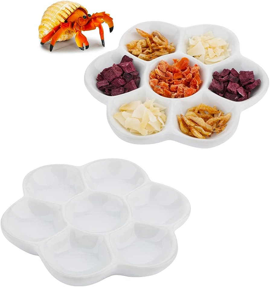 DQITJ 2 Pcs Hermit Crab Ceramic Food Dish, 7 Compartments Anti-turning Food & Water Bowl (White) | Amazon (US)