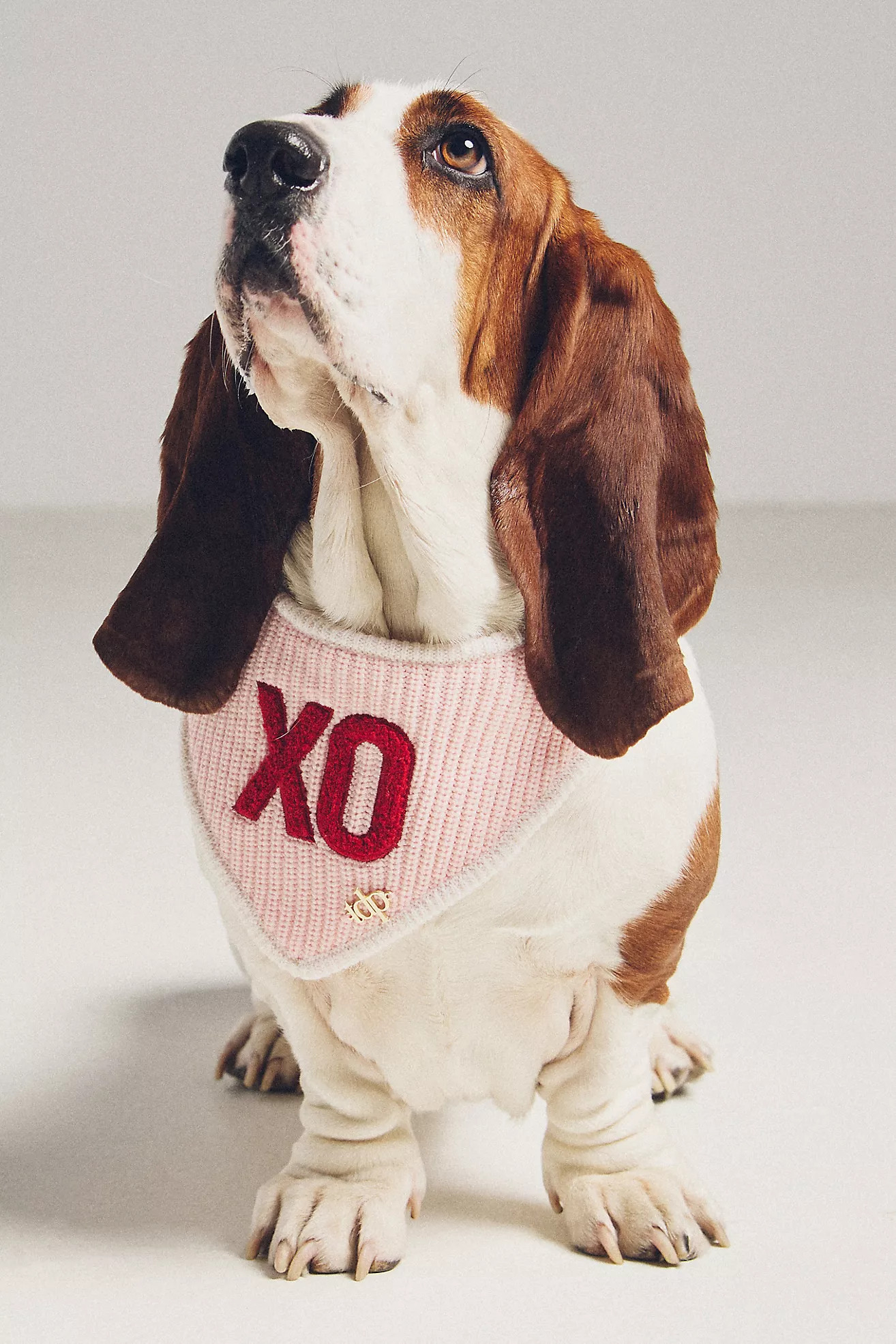 The Deluxe Pup Valentine's Day Pet Bandana | Anthropologie (US)