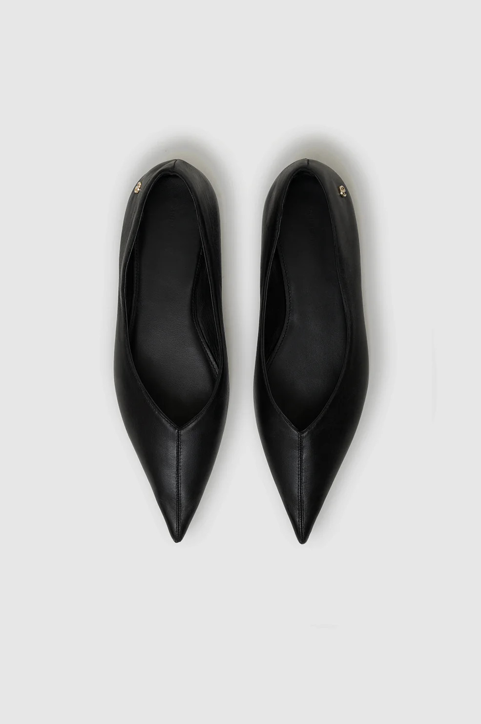 Hilda Ballerinas | Anine Bing