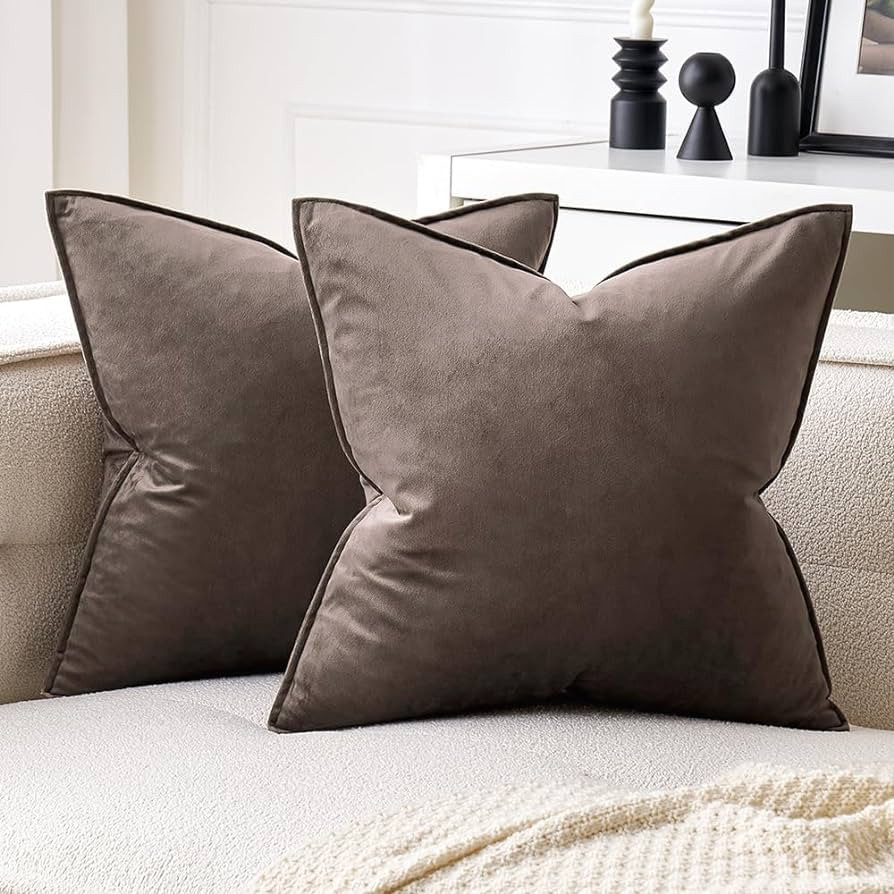 Amazon.com: MIULEE Pack of 2 Decorative Velvet Throw Pillow Cover Soft Chocolate Pillow cover Soi... | Amazon (US)