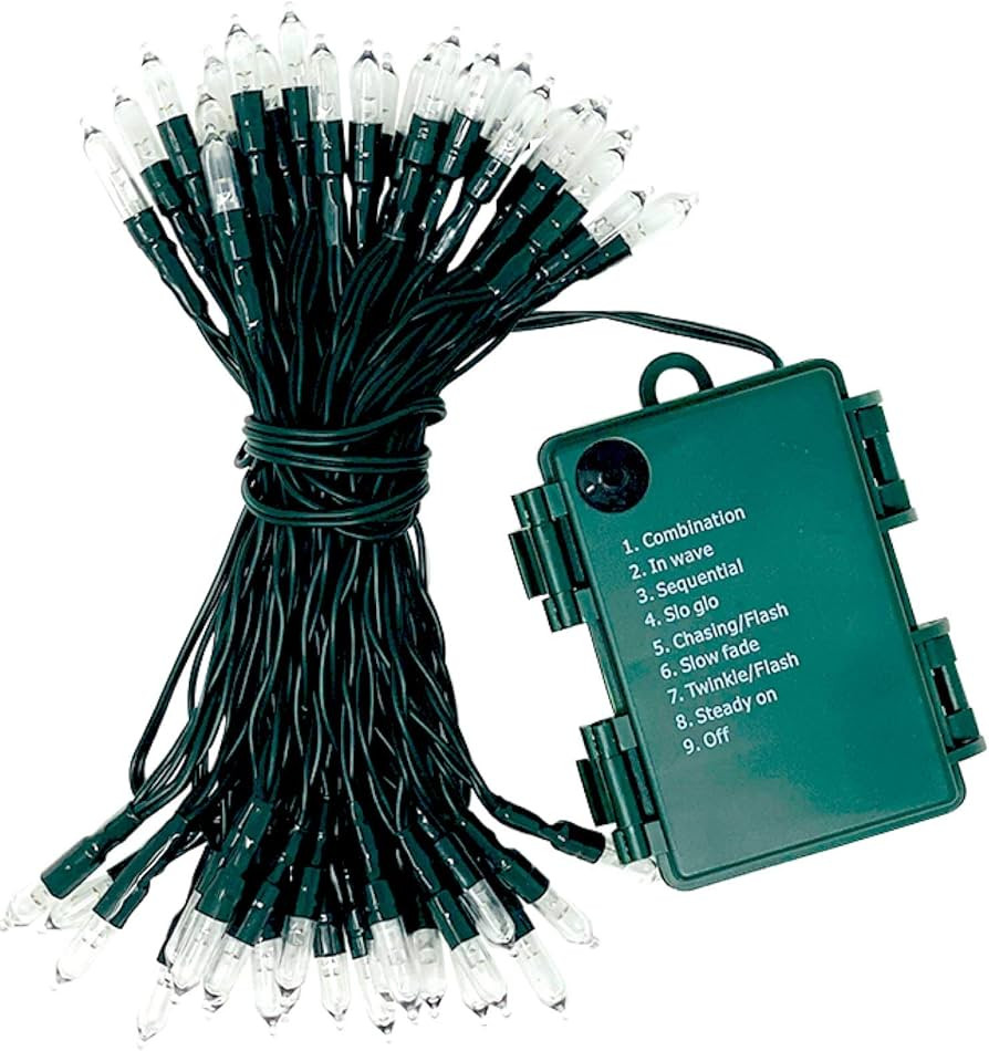 Celebrate A Holiday Battery Operated String Lights - 50 LED Waterproof Outdoor or Indoor Battery ... | Amazon (US)