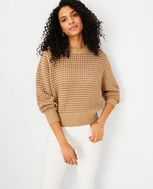 Crocheted Crew Neck Sweater | Ann Taylor (US)