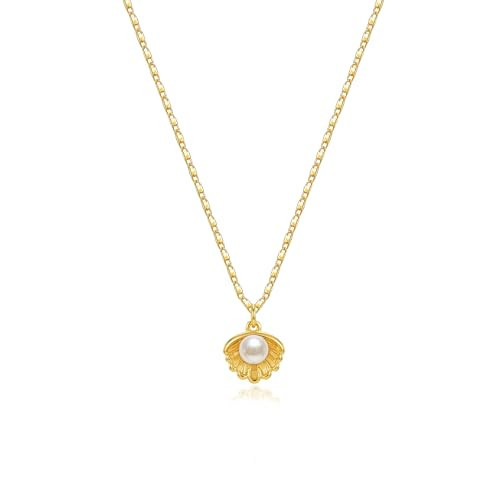 Zeffy Gold Seashell Pearl Necklace for Women Dainty Shell Pendant Necklace with Pearl Ocean Beach Jewelry Cute Summer Vacation Jewelry | Amazon (US)