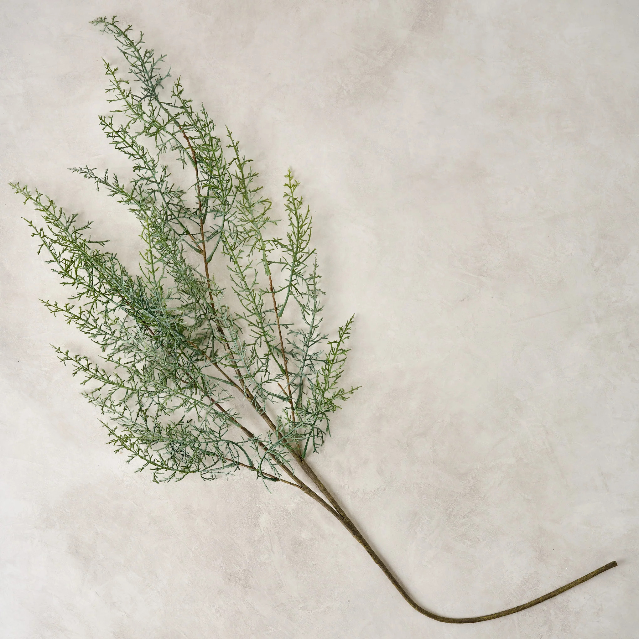 Oversized Asparagus Fern Spray | Magnolia