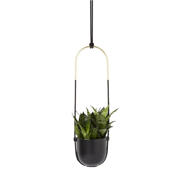 Bolo Hanging Planter | Umbra
