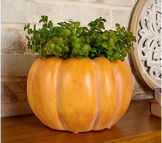 Simply Stunning 10" Indoor/Outdoor Pumpkin Planter by Janine Graff - QVC.com | QVC