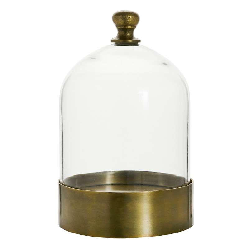 Gold Glass Cloche, 6x8 | At Home