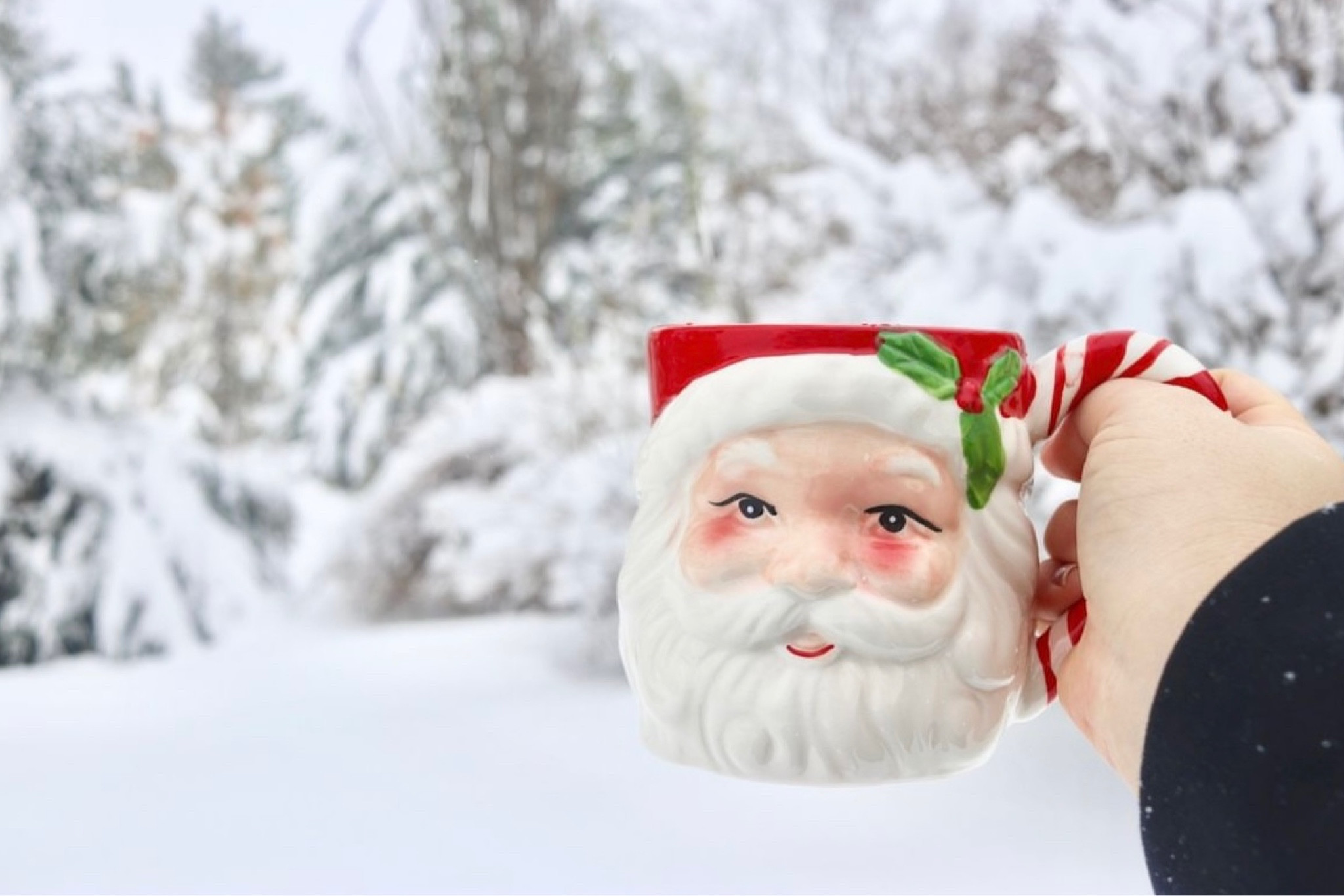 Getting out our Christmas decorations is making me nostalgic for winter in years past! I love a good Santa mug, and I have linked some of my favorite holiday themed mugs in this post 🎅

#LTKSeasonal #LTKHoliday