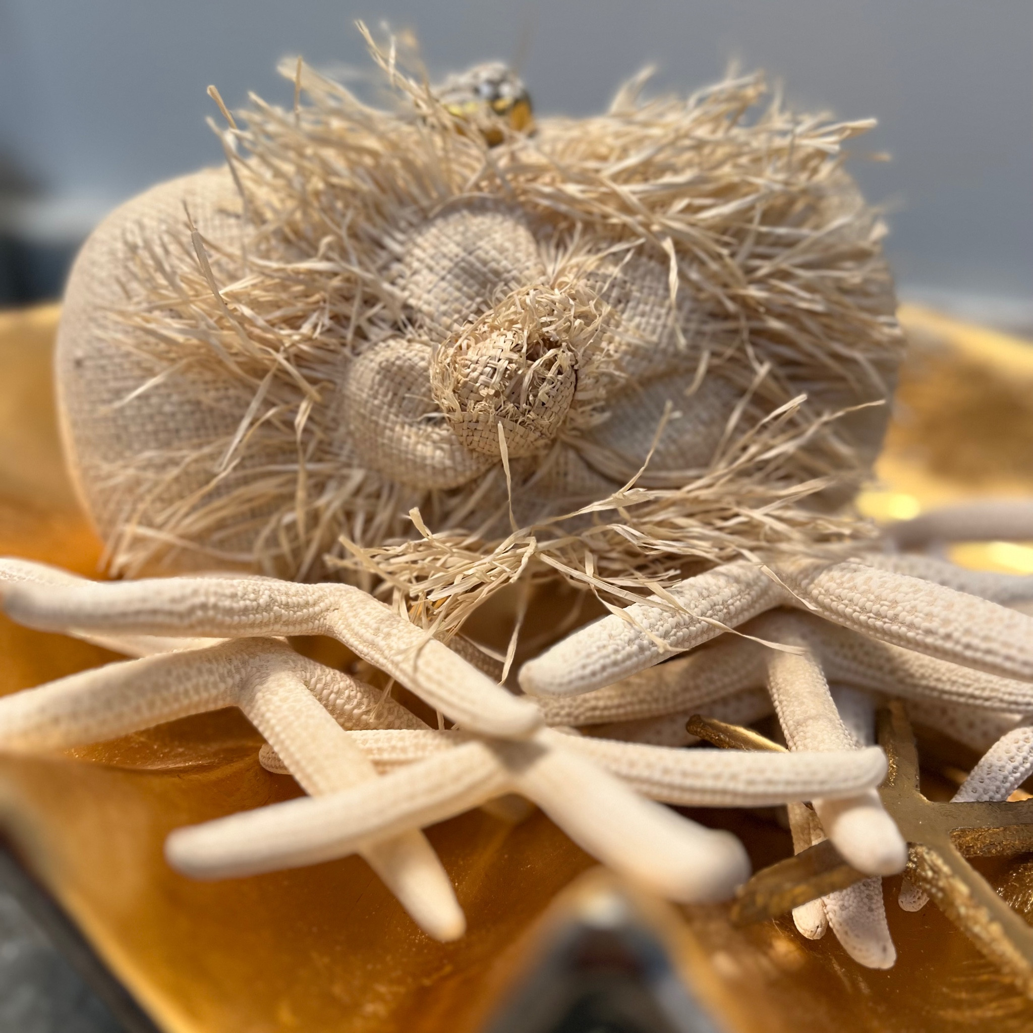 Our trips with our families inspired us to dream about spring and summer and the fun accessories for this time of year. !  We are in a spring mood even with the weather still chilly in Michigan!!

One accessory we think adds so much to your wardrobe are purses!!! Here are some of our purse faves for spring and summer!!

#LTKover40 #LTKSeasonal #LTKitbag