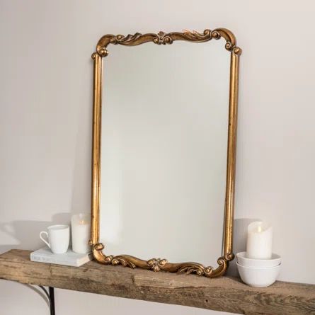 Cooper Classics Toulouse Bold Traditional Wall Mirror | Wayfair North America