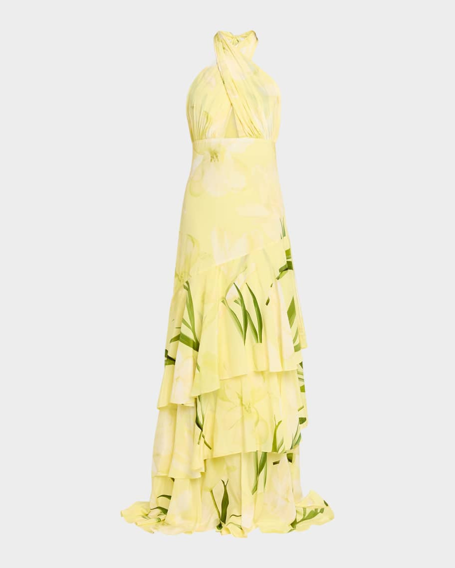 Cara Cara Amethyst Printed Tiered Silk Gown | Neiman Marcus