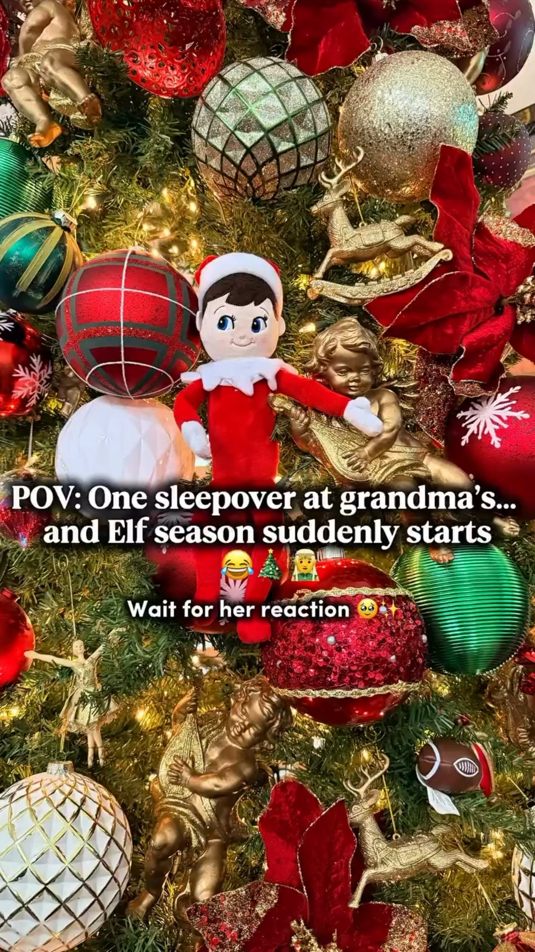 Is it too early for Elf on the Shelf?
According to my mom and aunt… absolutely not 😂🎄
One sleepover at grandma’s and Chippy magically appeared.
Now my daughter is fully in elf-mode! The way she woke up saying, “I need to check on him!” 🥺✨ These are the moments I’ll remember forever. 

#elfarrival #holidaytraditions #christmaskids #christmasmagic #momlifechristmas #elfontheself #elfideas