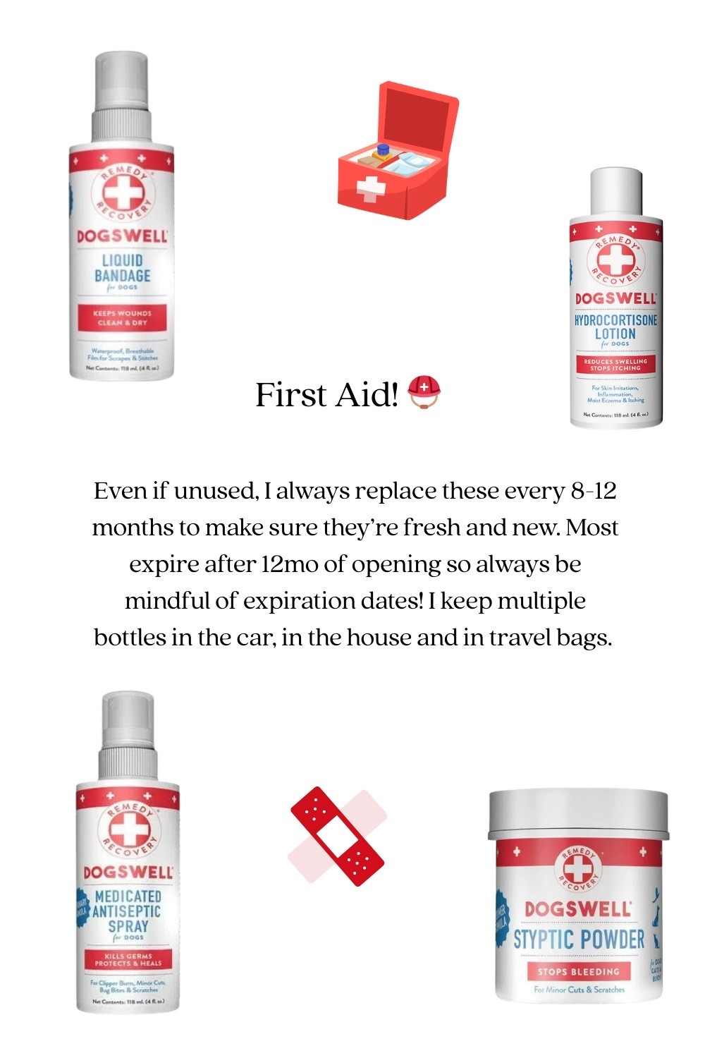 Safety first always #LTKPets #LTKDogs 

#LTKvlog #LTKActive