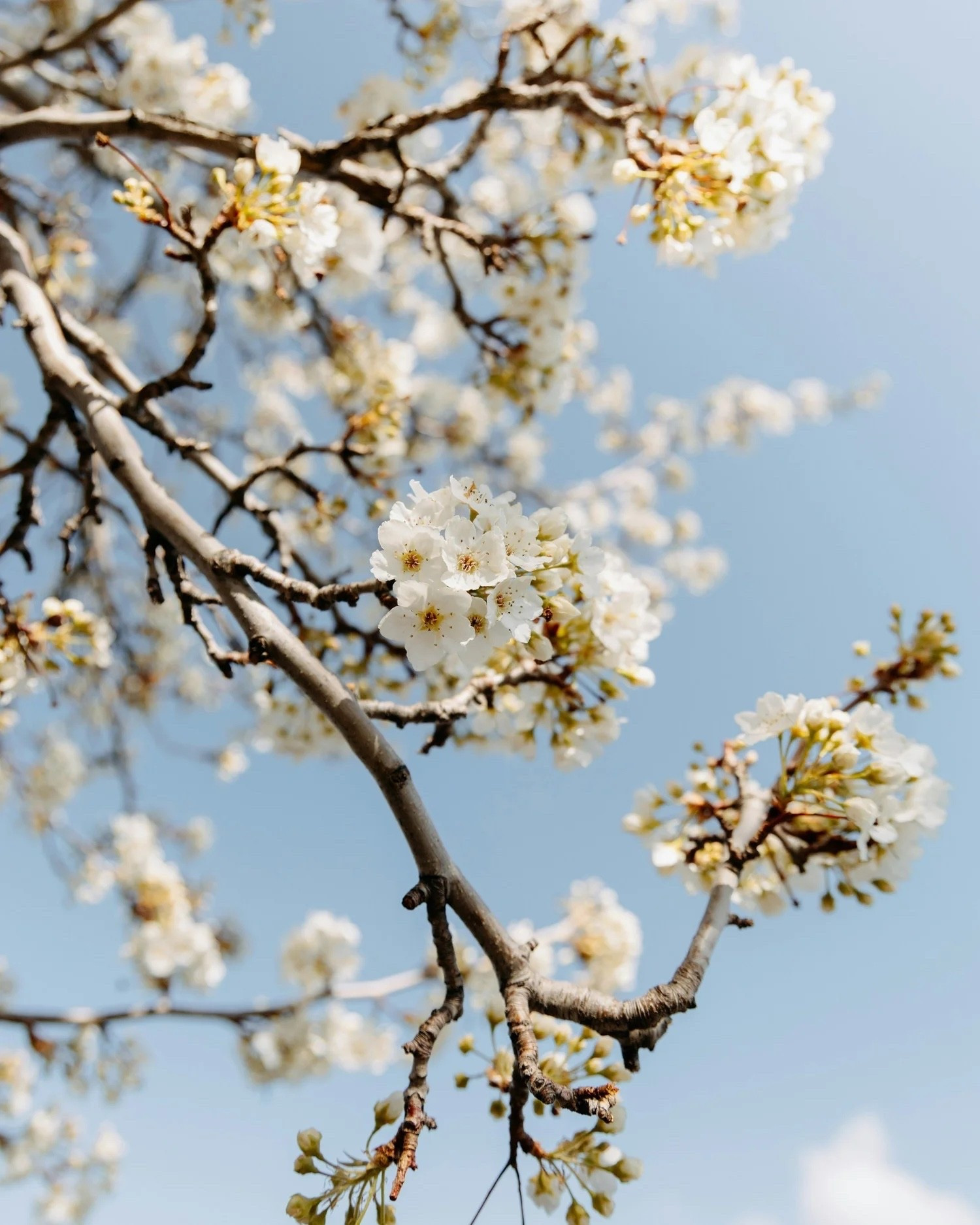 FRIDAY FAVORITES 04/17/26
I've started an exercise to focus on positivity and bring happiness into my life and those around me. I tend to dwell on the negatives, but I'm determined to retrain my brain. So, I am sharing 16 things that have made me happy in a series called "Friday Favorites" to inspire joy in others. See the full post at abigailamira.com

#LTKSeasonal #LTKMothersDay