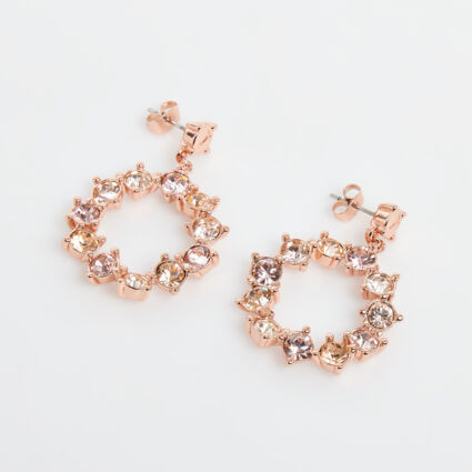 Rose Gold Tone Embellished Hoop Drop Earrings | TK Maxx