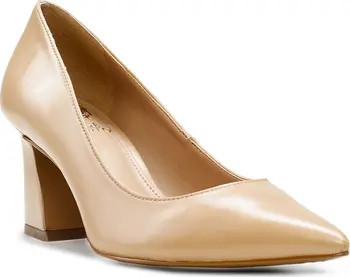 Hailenda Pointed Toe Pump (Women) | Nordstrom