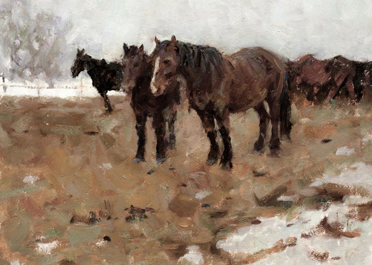 Horses | Collection Prints