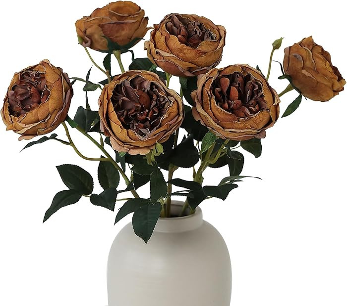 mizii 6Pcs Burnt Orange Artificial Roses Flowers Fake Silk Roses Flower with Long Stem for Weddin... | Amazon (US)